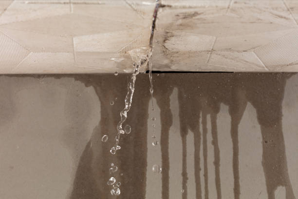 Professional Water Extraction technician working in Mount Victory, OH